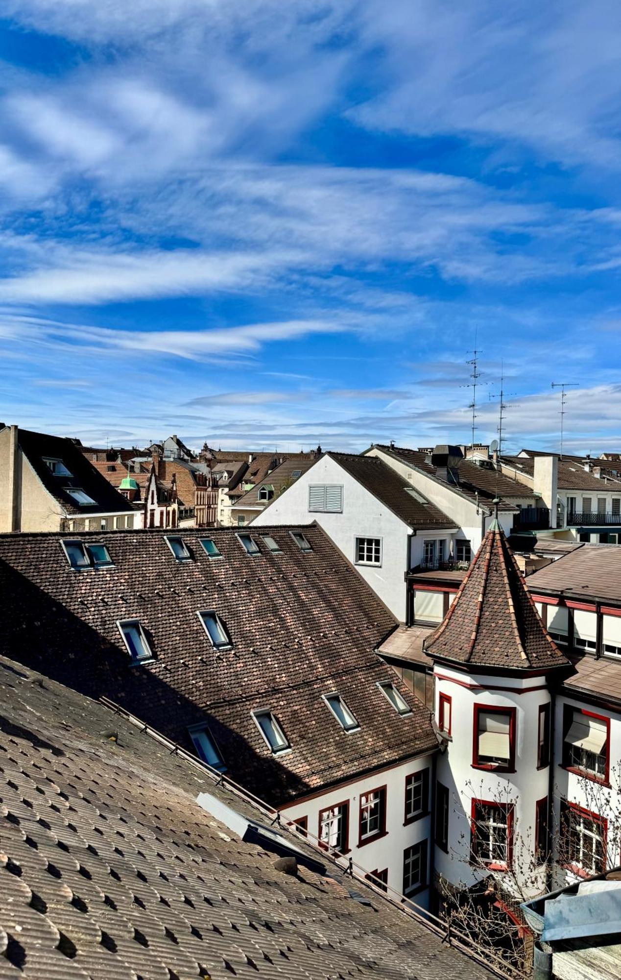 City Center Rooftop Studio With Oldtown View Basel Bagian luar foto